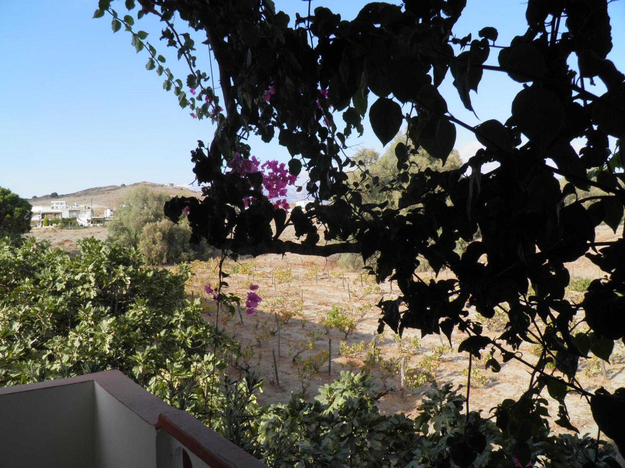 Galaxias Studios Kalamaki (Heraklion) Quarto foto